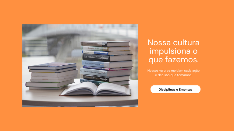disciplinas e ementas